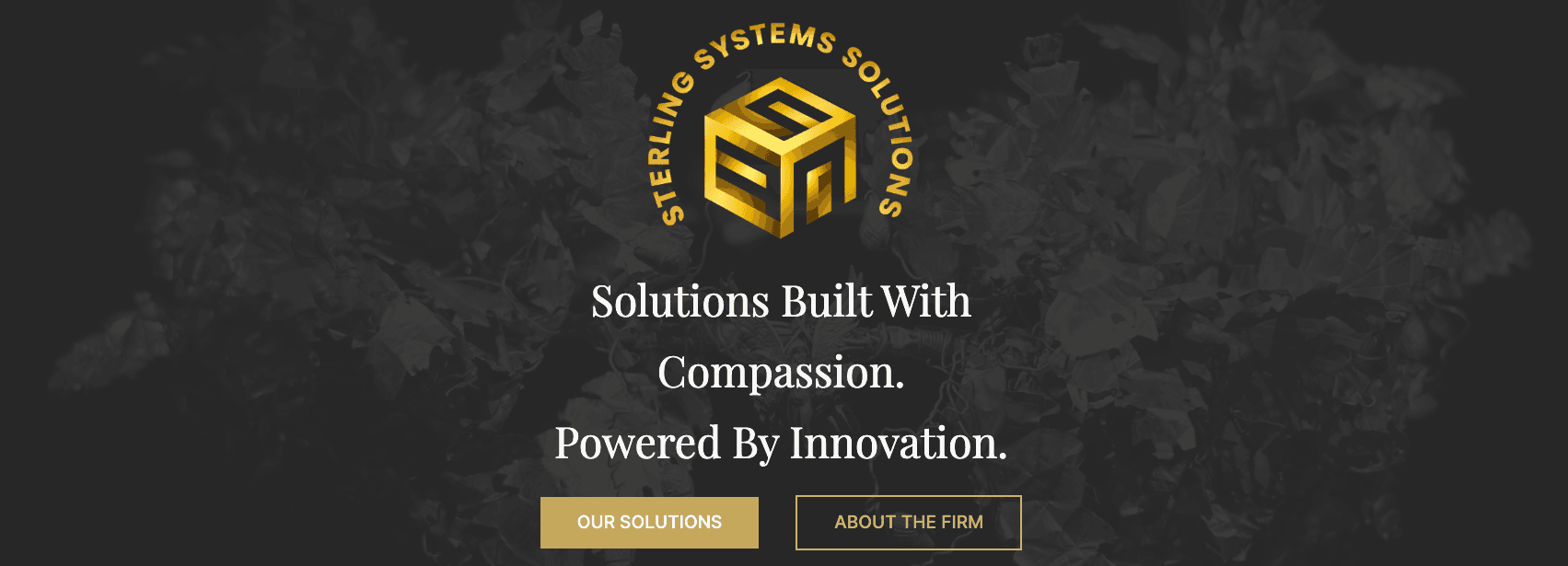 Sterling Systems Solutions product interface